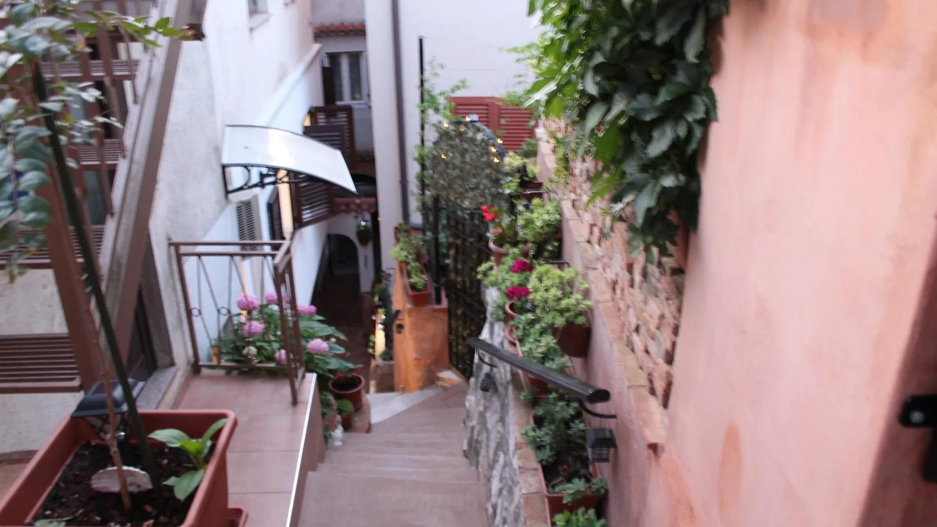 Apartman Nord2 S Romanticnom Privatnom Terasom Rovinj Horvátország
